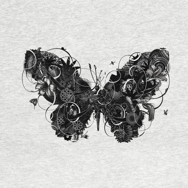 Butterfly No.2 b/w by The Nature of Things